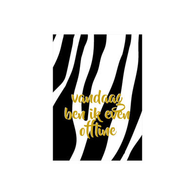 studio365-kaarta6-13